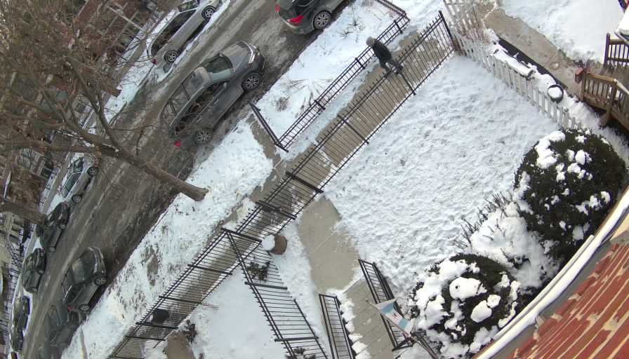 Reolink Camera Two_01_Reolink Home Hub One_20260129073721.jpg